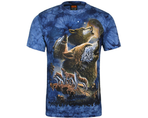 bear t shirt
