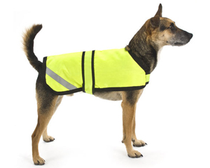 dog safety vest