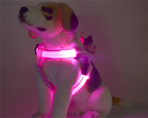 pet harness