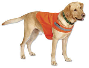 Dog Jacket Fluorescent Reflective